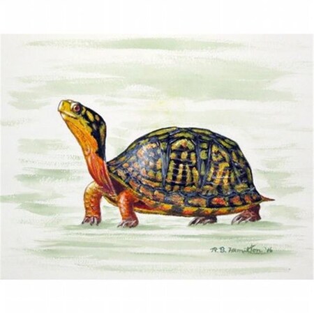 Betsy Drake Betsy Drake PM491 Happy Turtle Place Mat - Set of 4 PM491